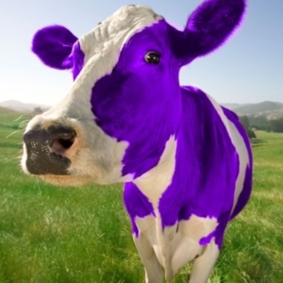 puurplecoow